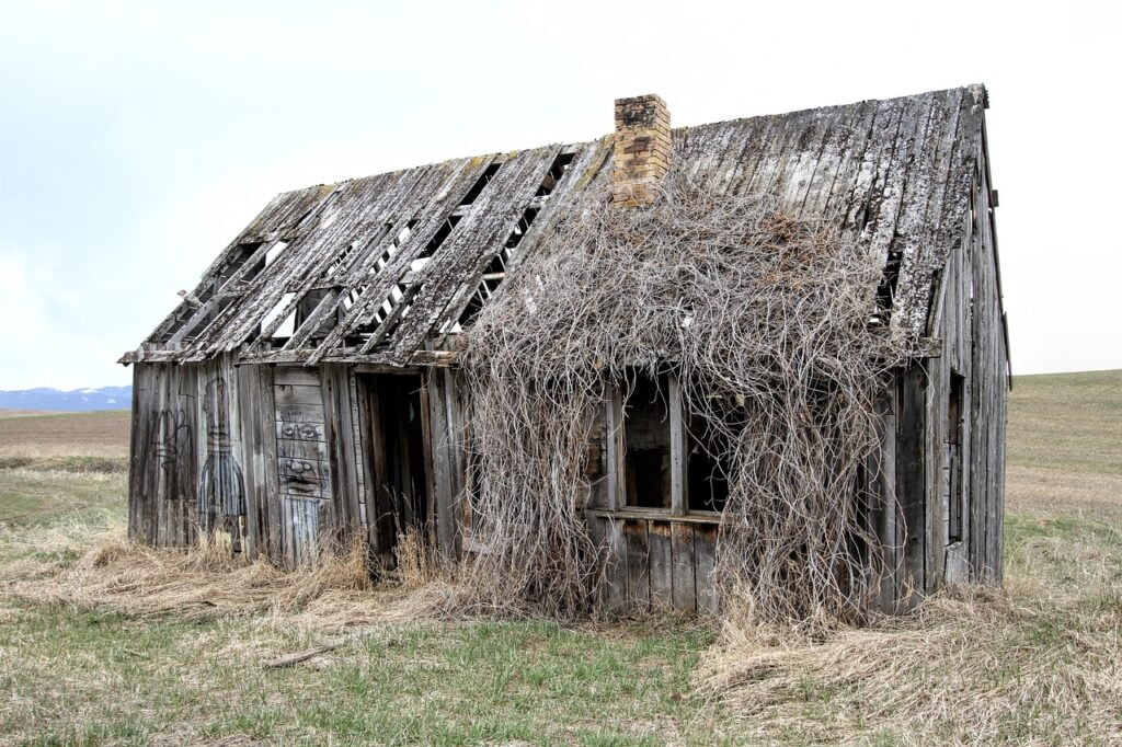 abandonment