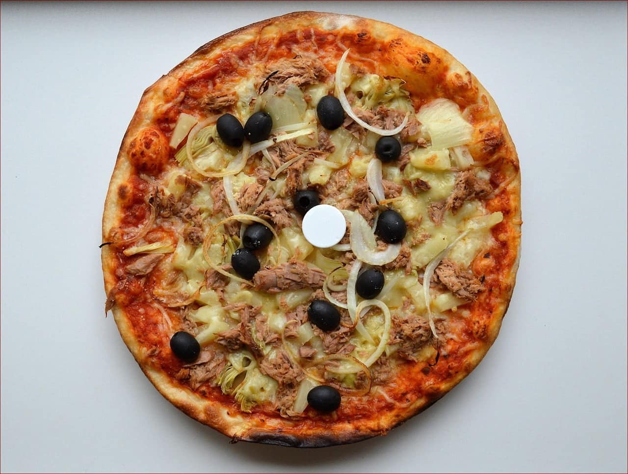 anchovy