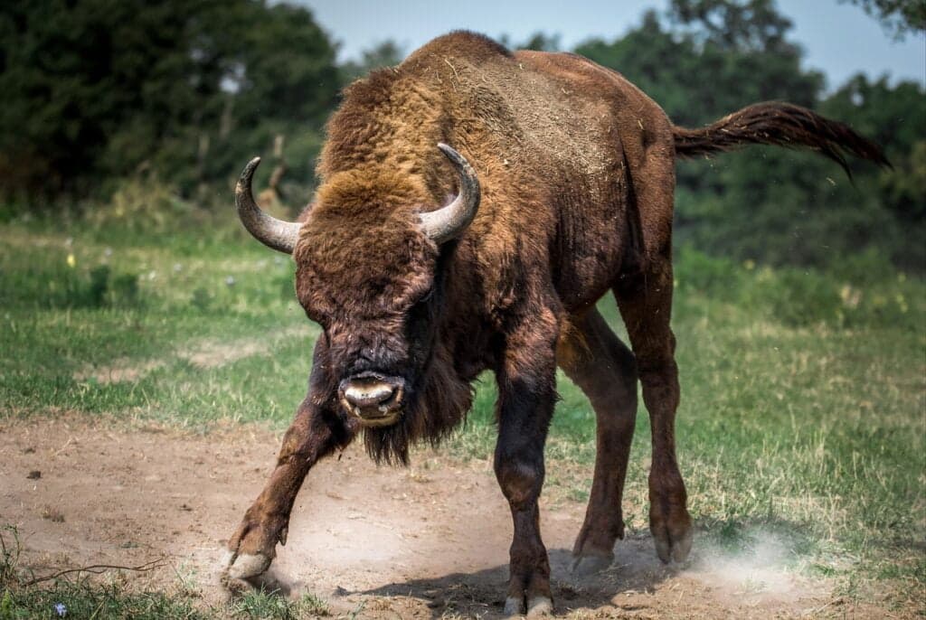 anger