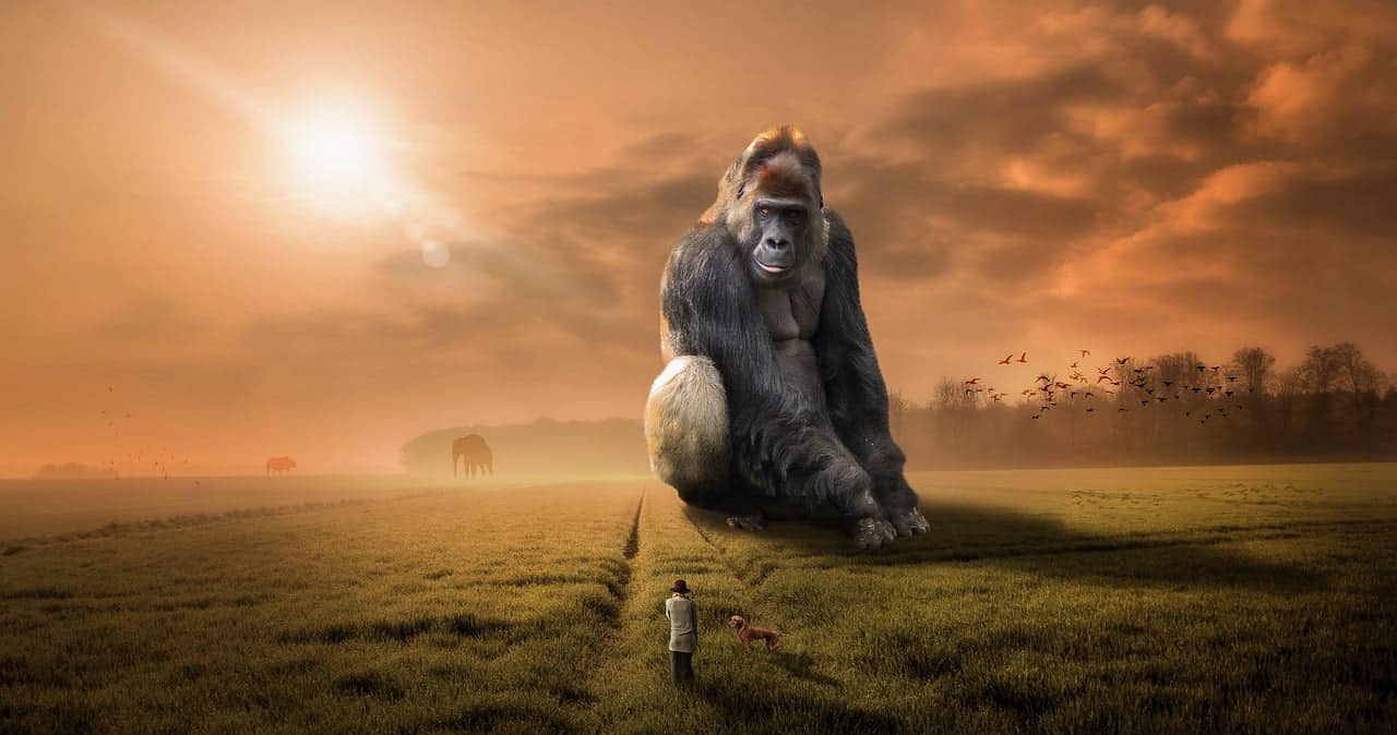apes