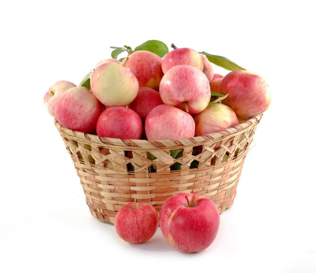 apple