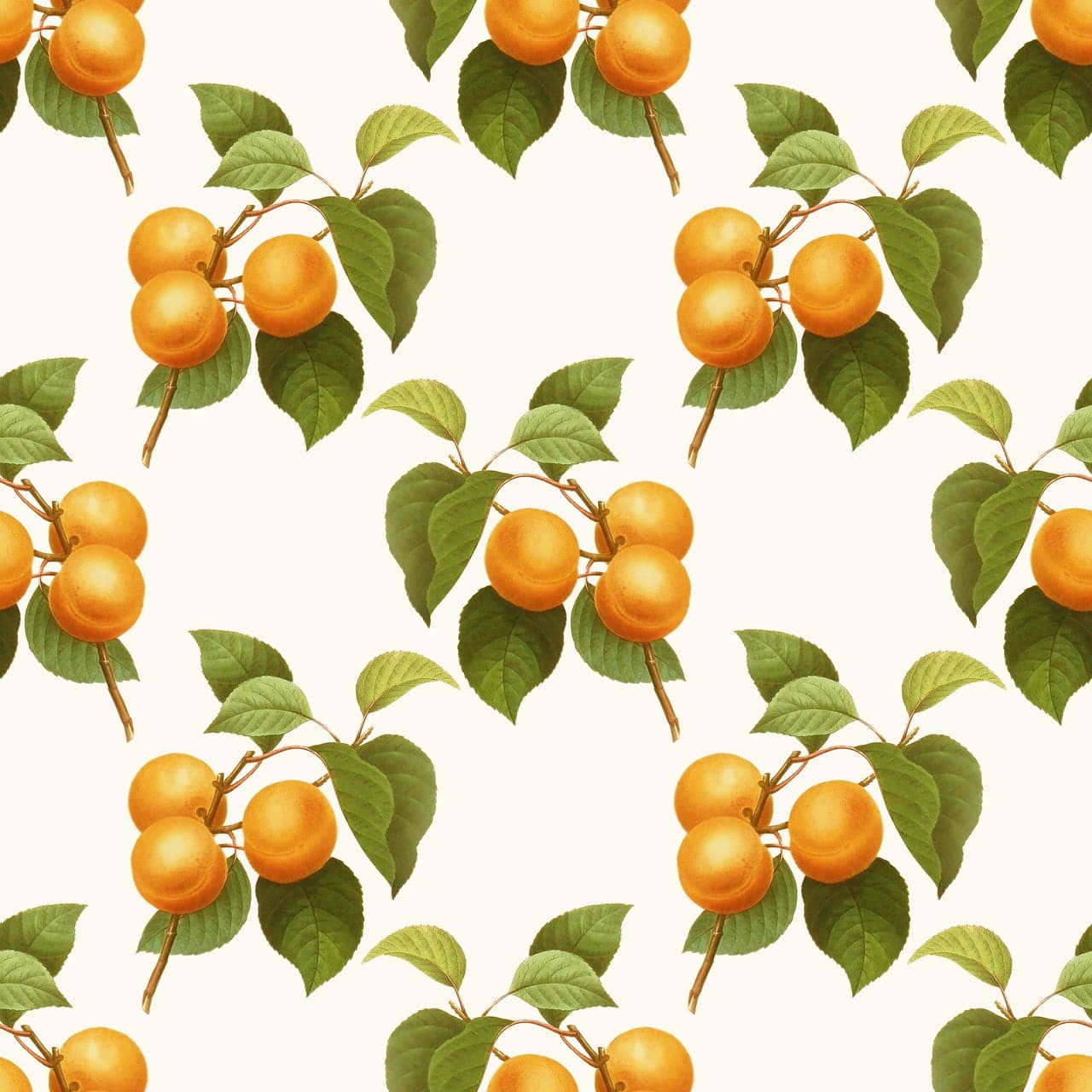 apricot