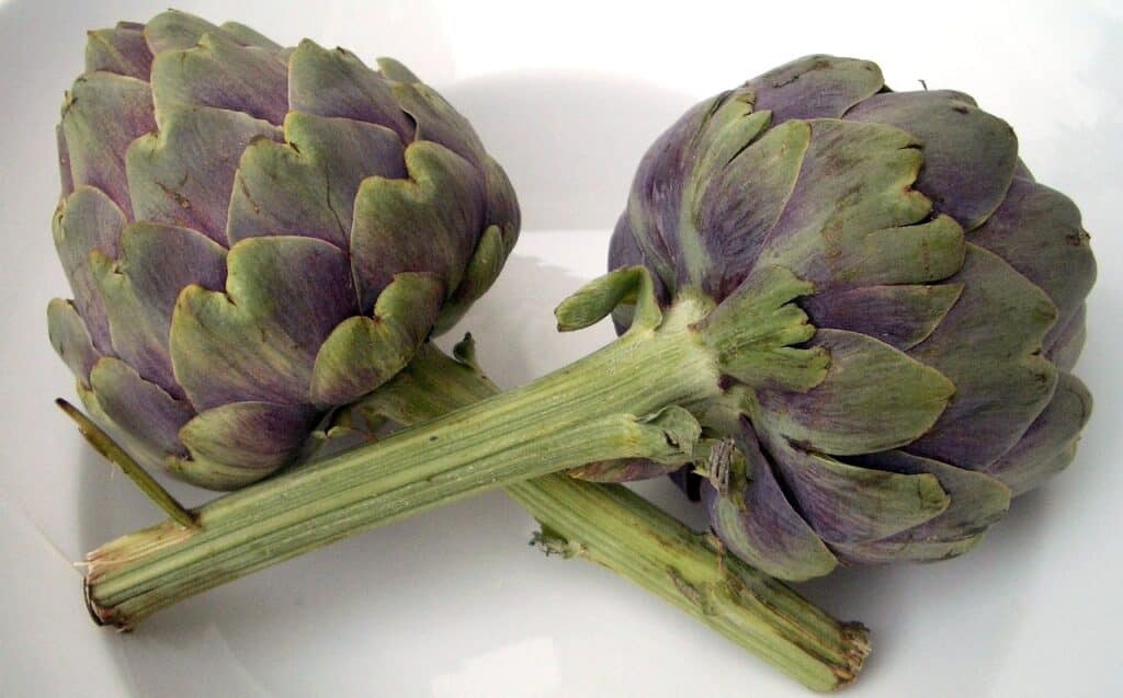 artichoke
