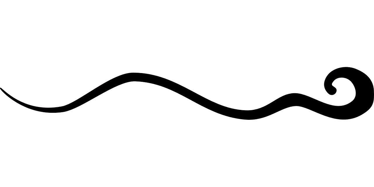 dream meaning Autograph