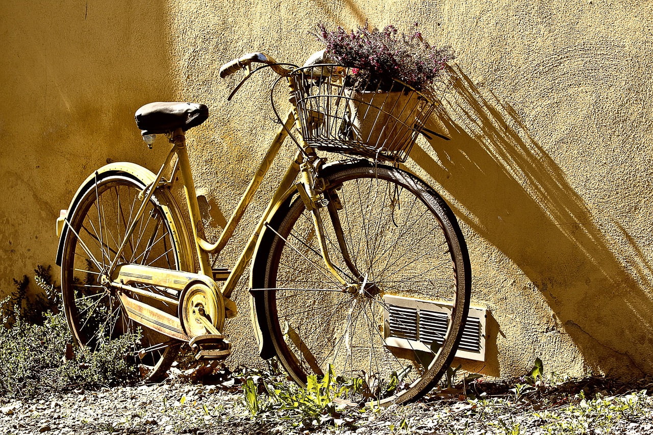 dream meaning Basket