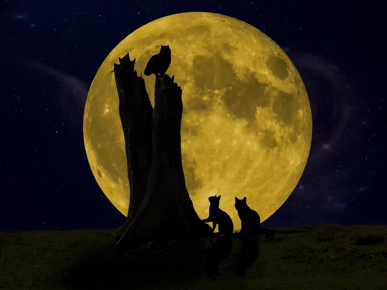 dream meaning Being Hunted