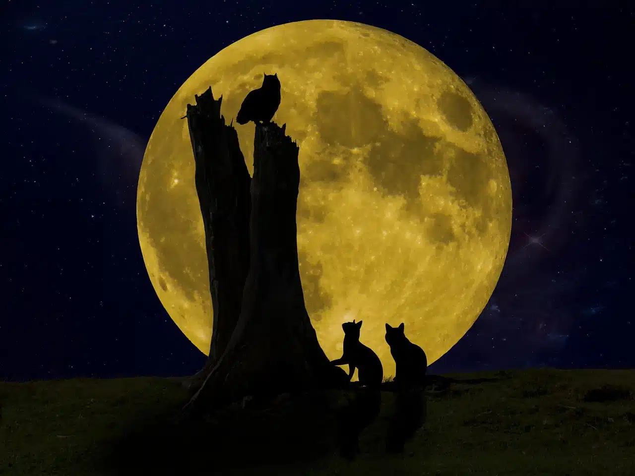 dream meaning Being Hunted