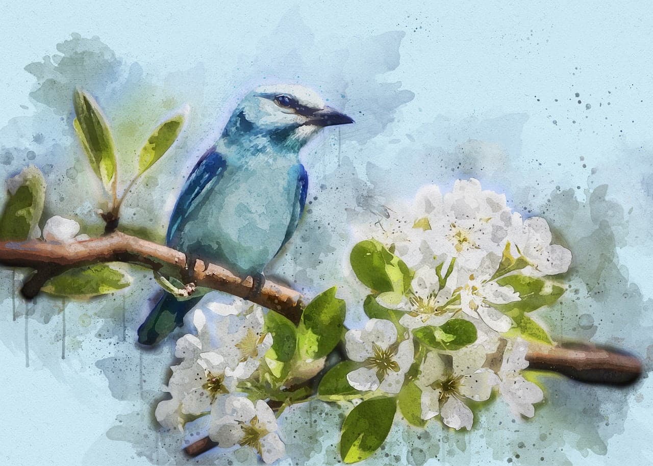 dream meaning Bird cherry