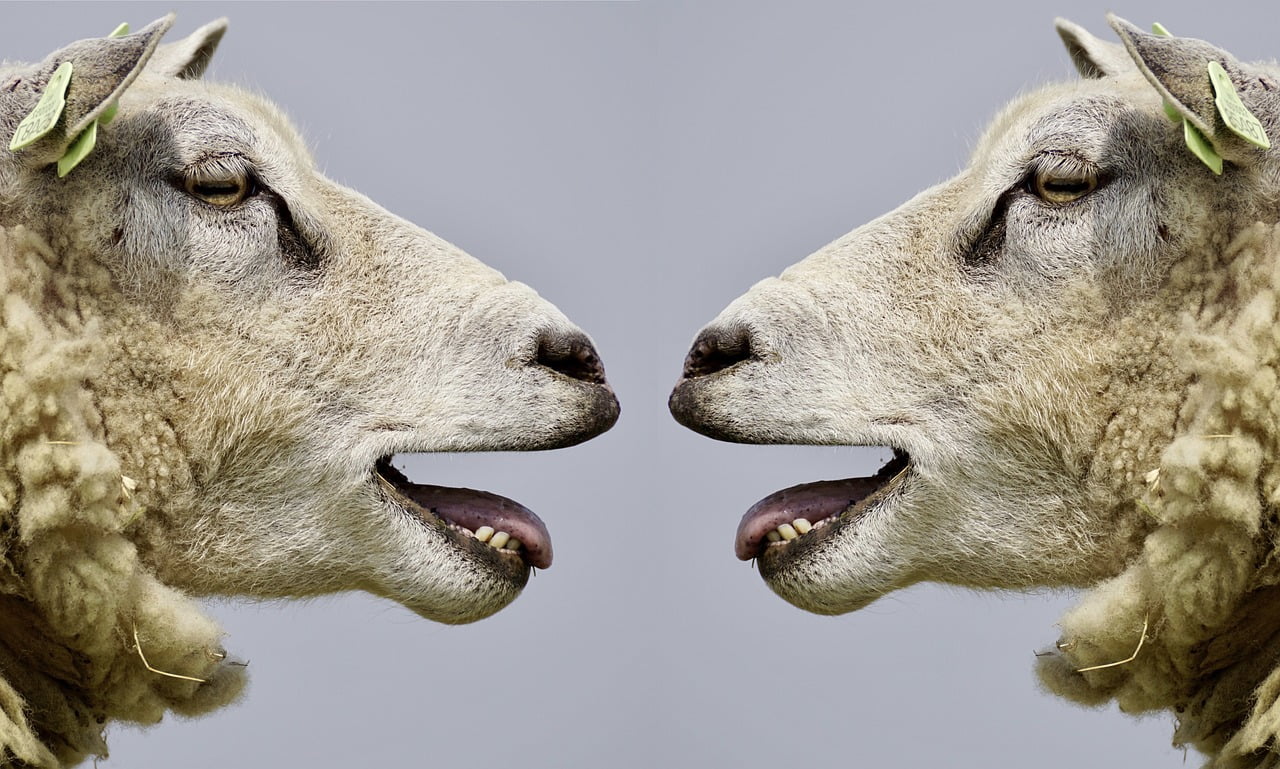 dream meaning Bleating