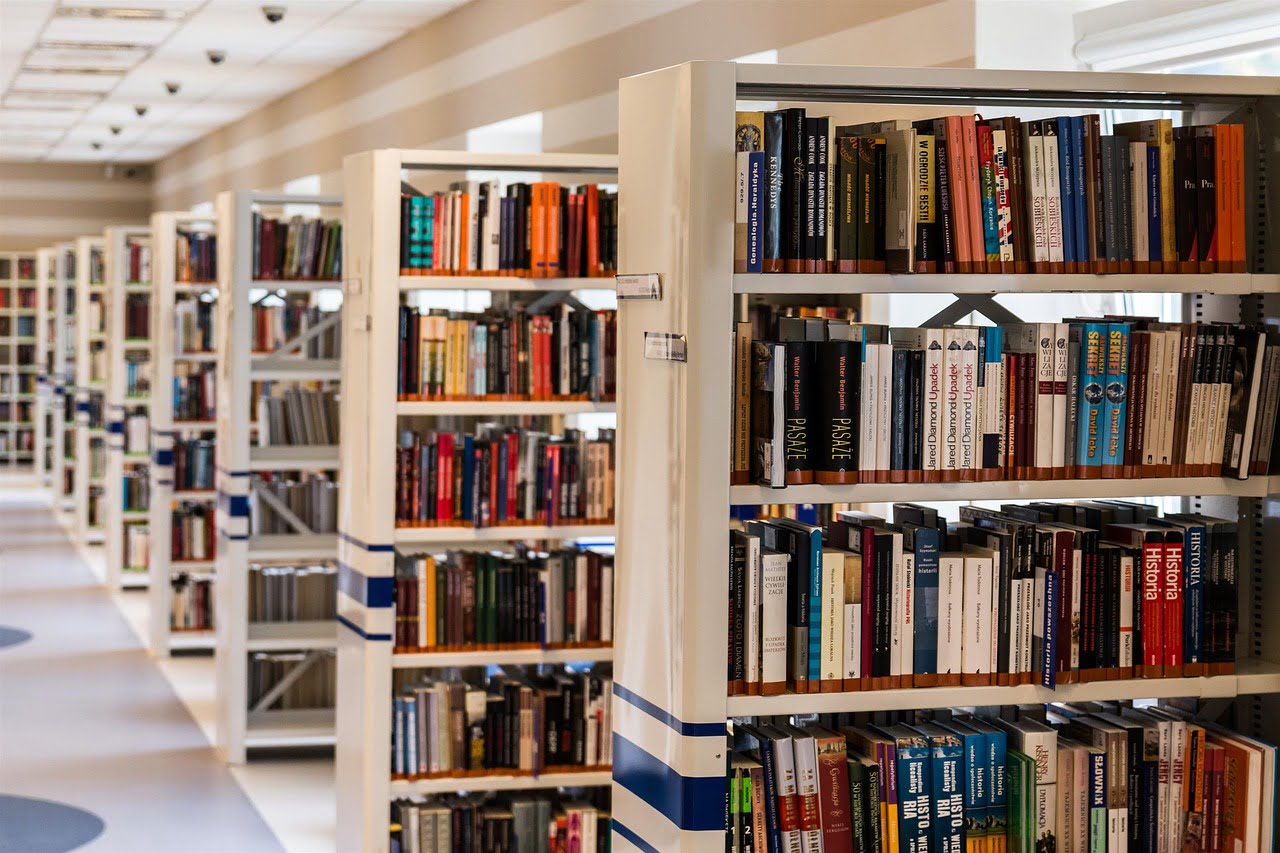 dream meaning Bookcase