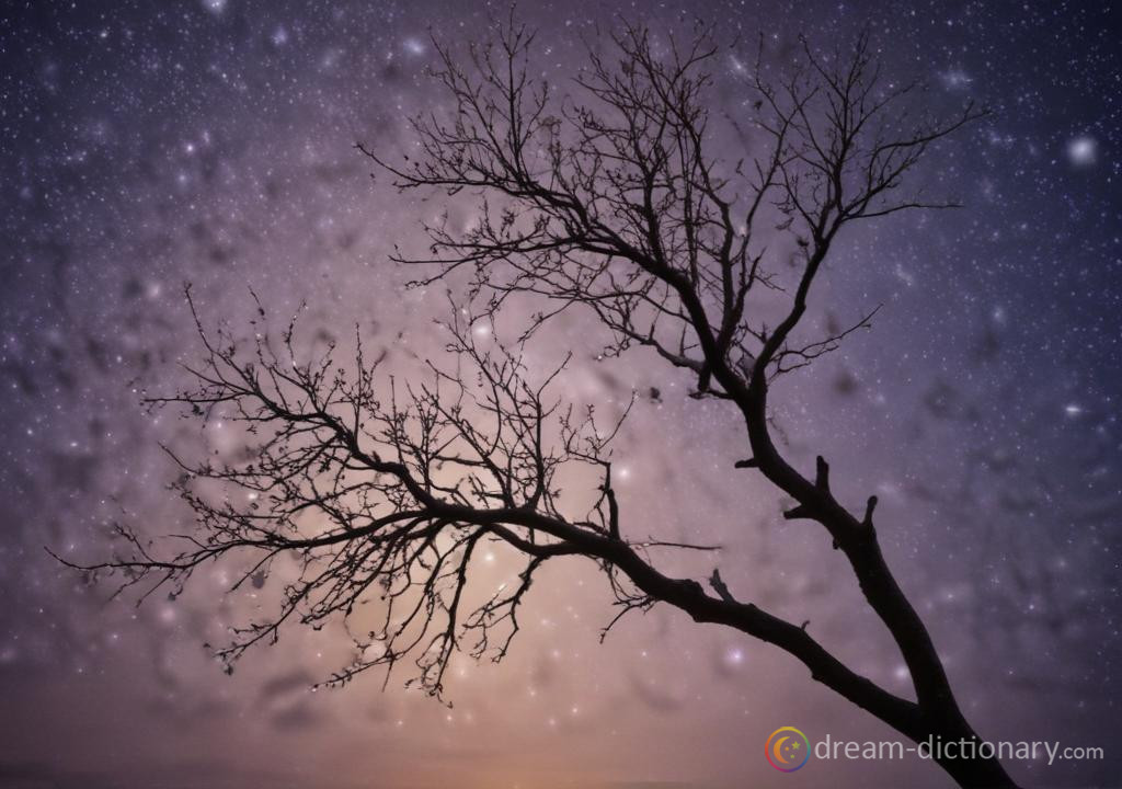 Branches dream dictionary