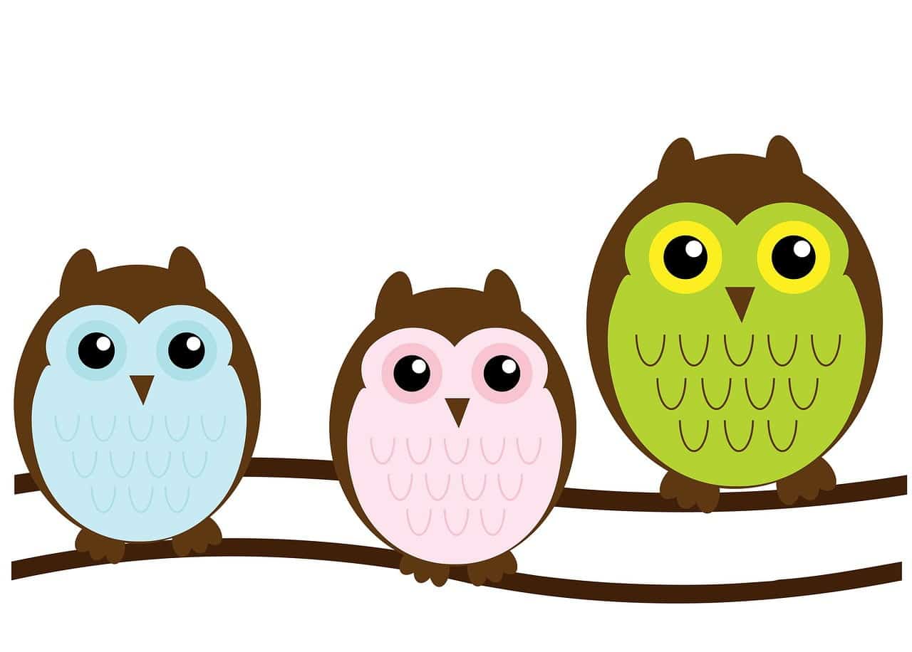 dream meaning Brown owl