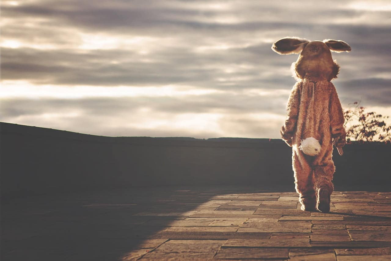 dream meaning Bunny