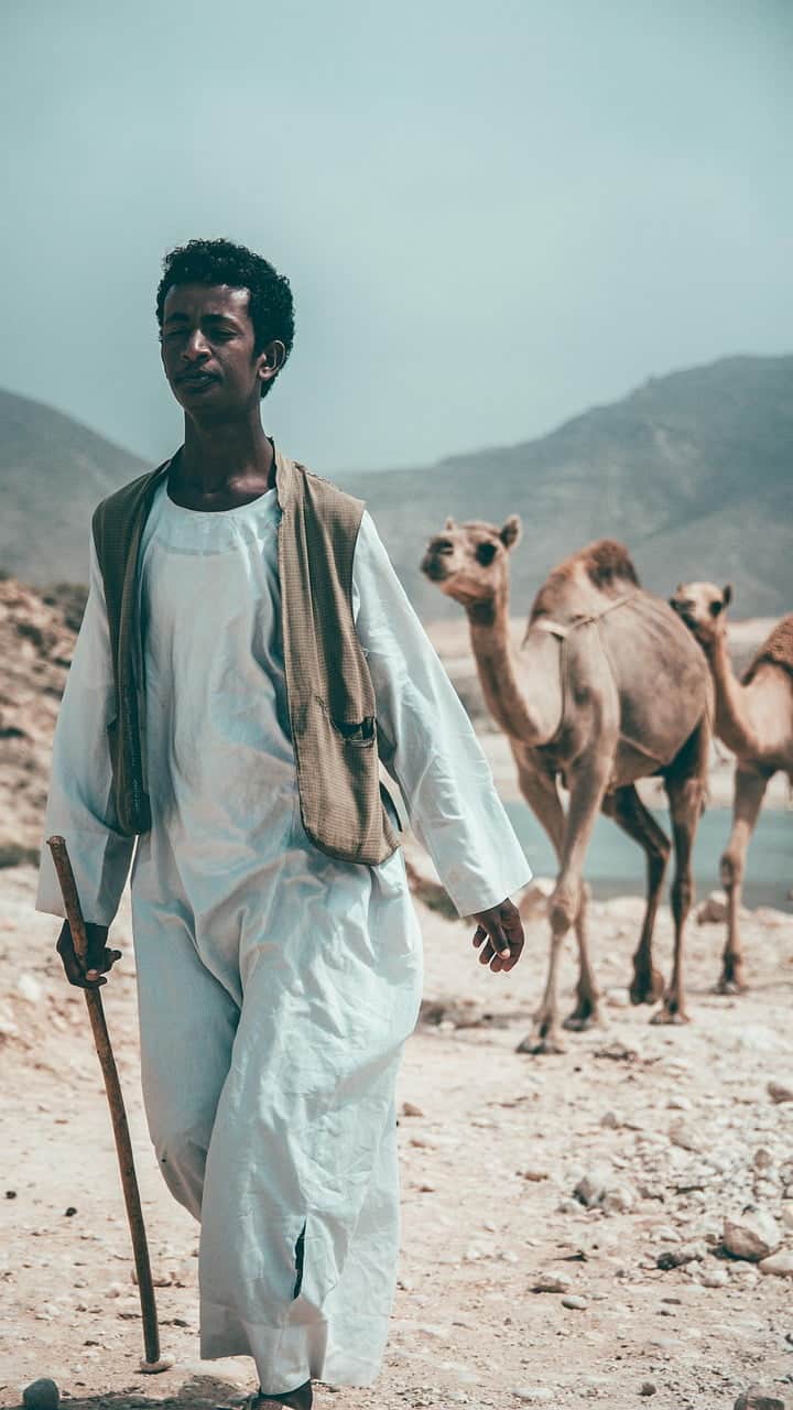 dream meaning Camel
