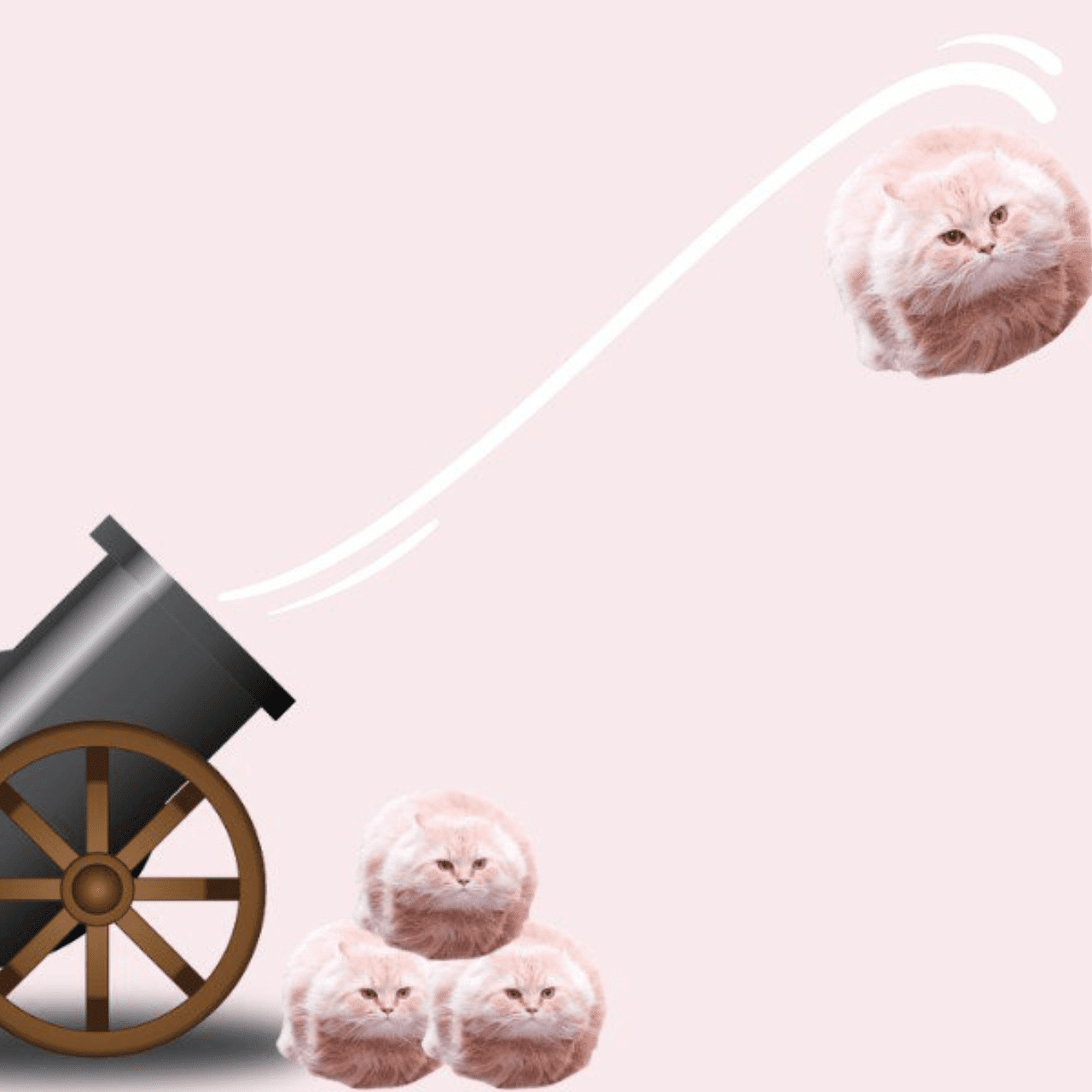 dream meaning Cannon Ball