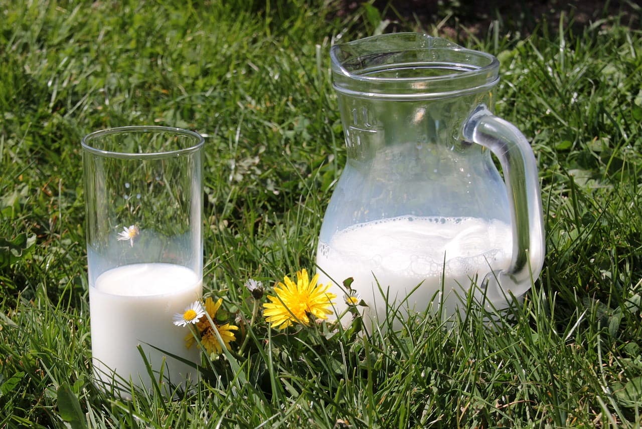 dream meaning Carafe