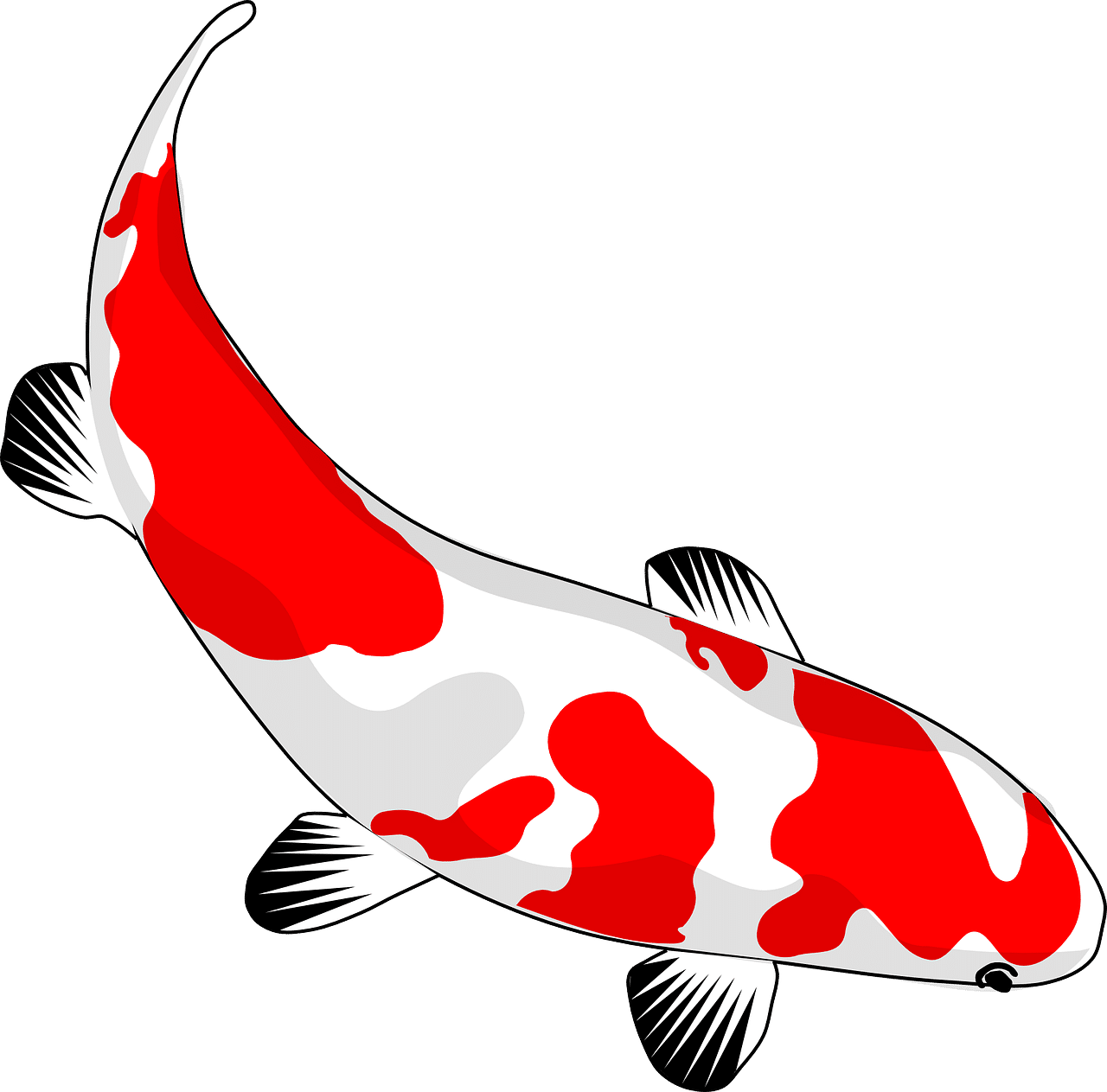 dream meaning Carp