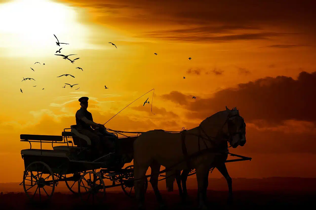 dream meaning Cart driver