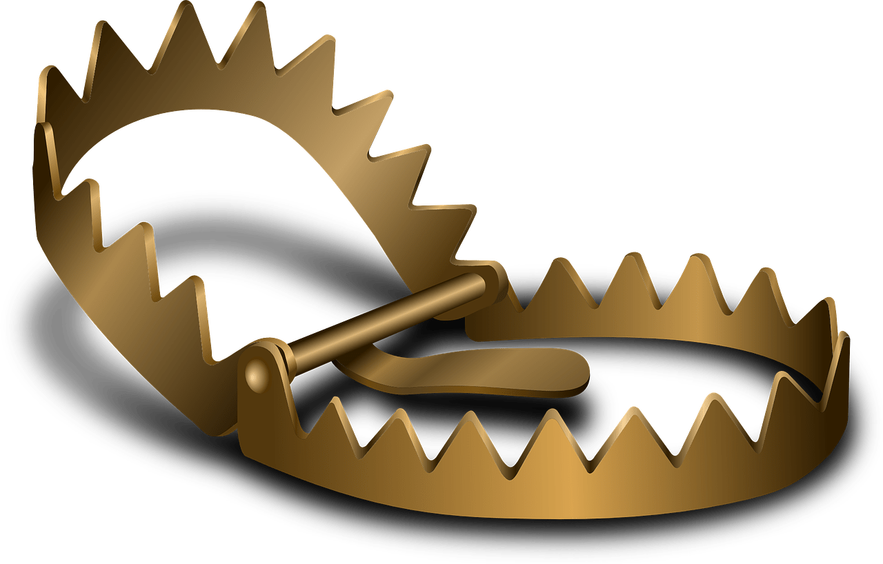 dream meaning Catch