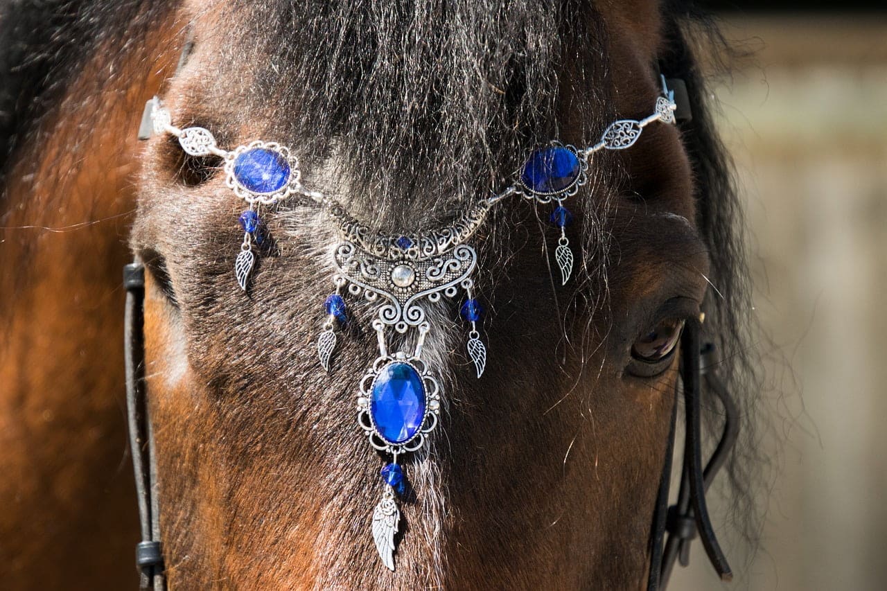 dream meaning Cavalry