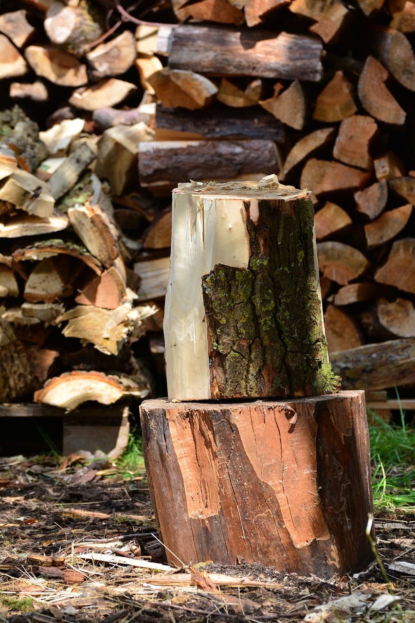 dream meaning Chopping block