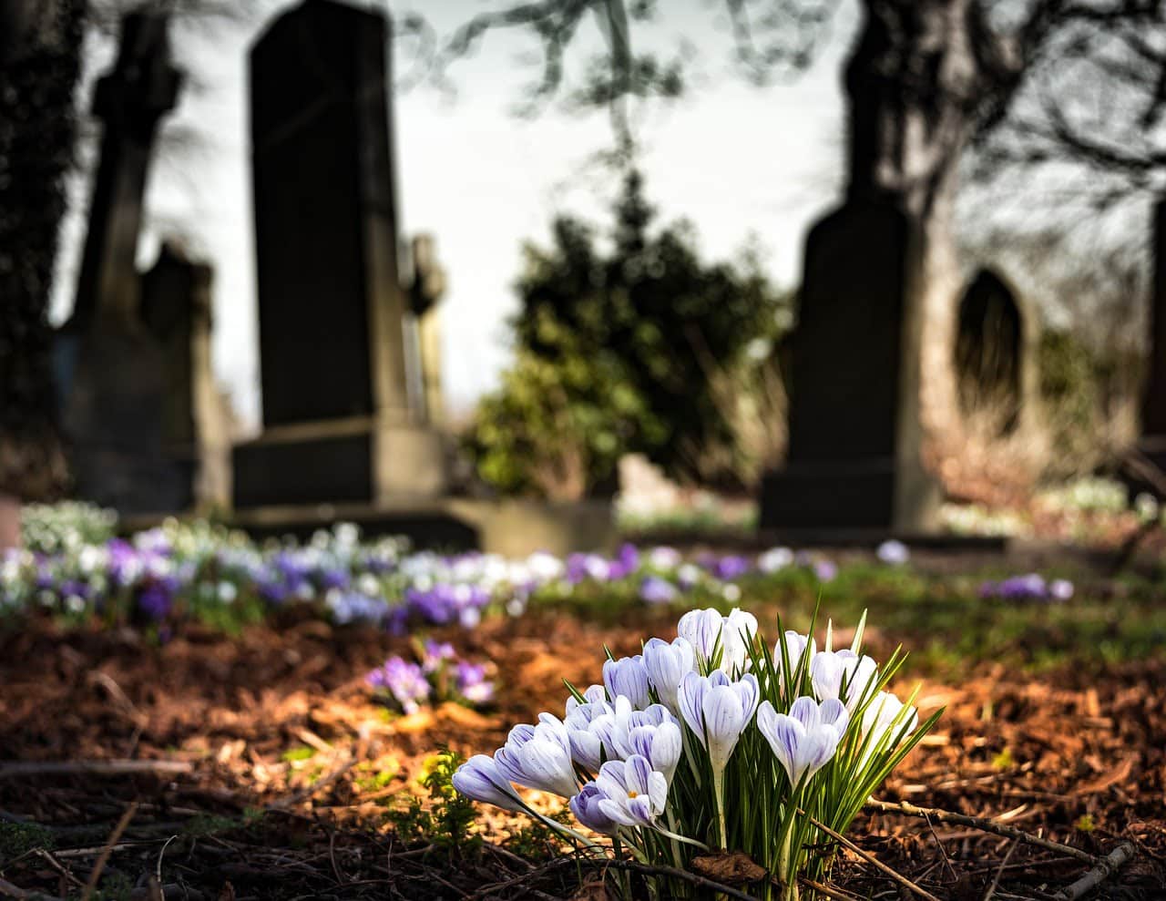 dream meaning Churchyard