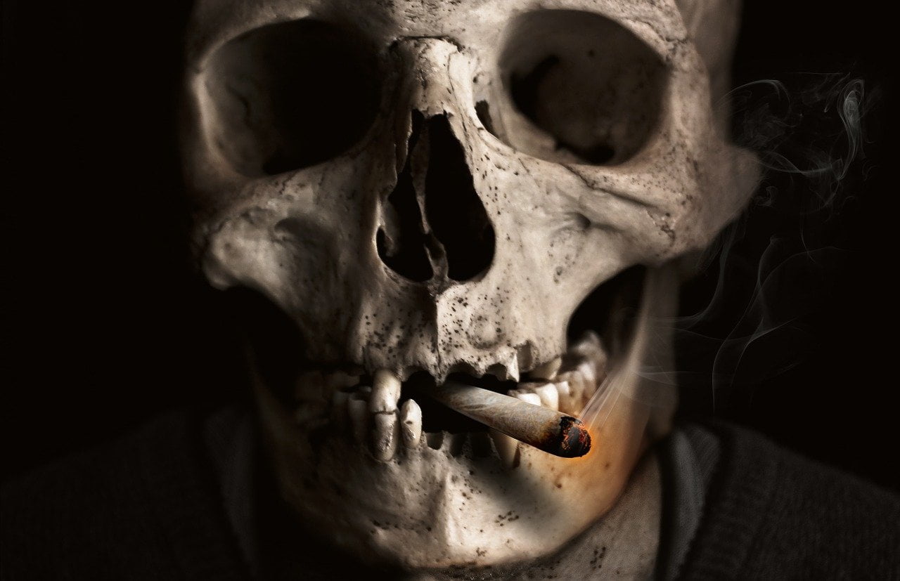 dream meaning Cigar