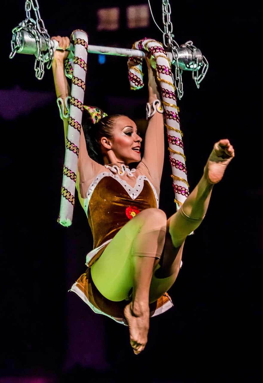 dream meaning Circus performer
