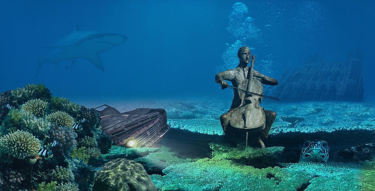 dream meaning Coral