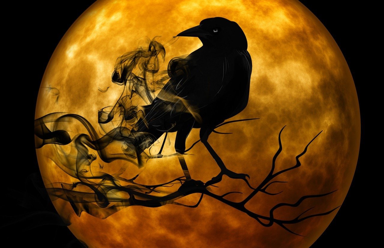 dream meaning Crow