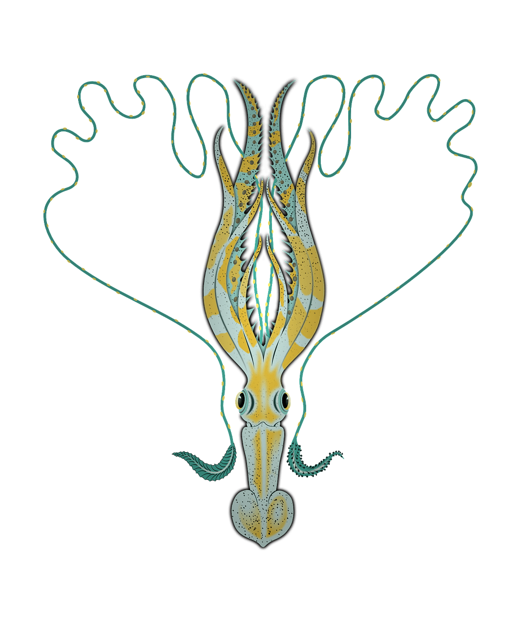 dream meaning Cuttlefish