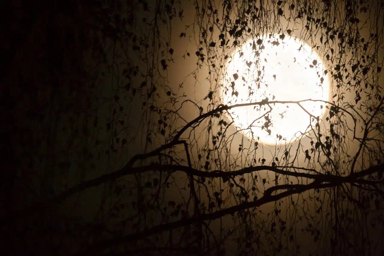 dream meaning Darkness in the moonlight