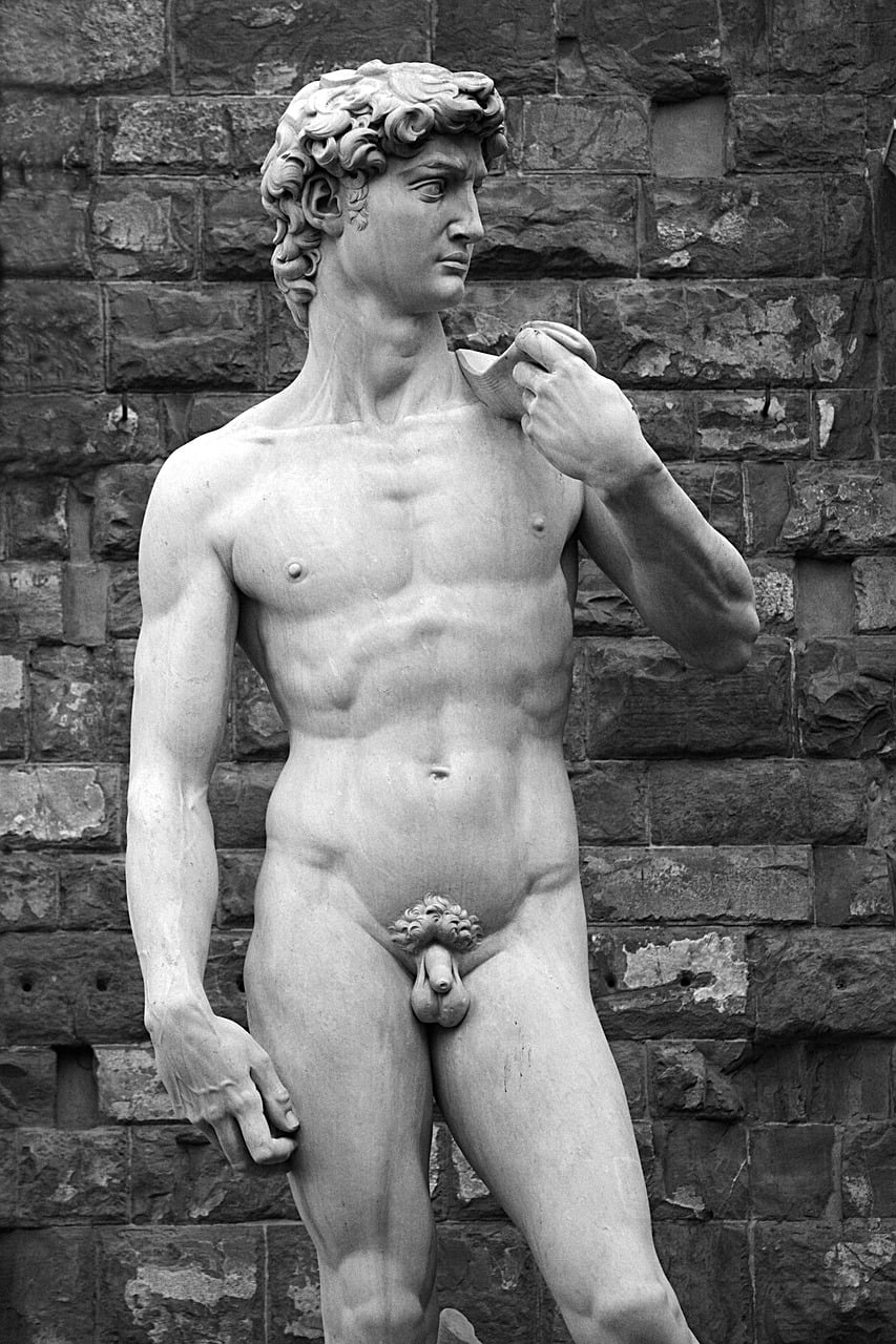 dream meaning David