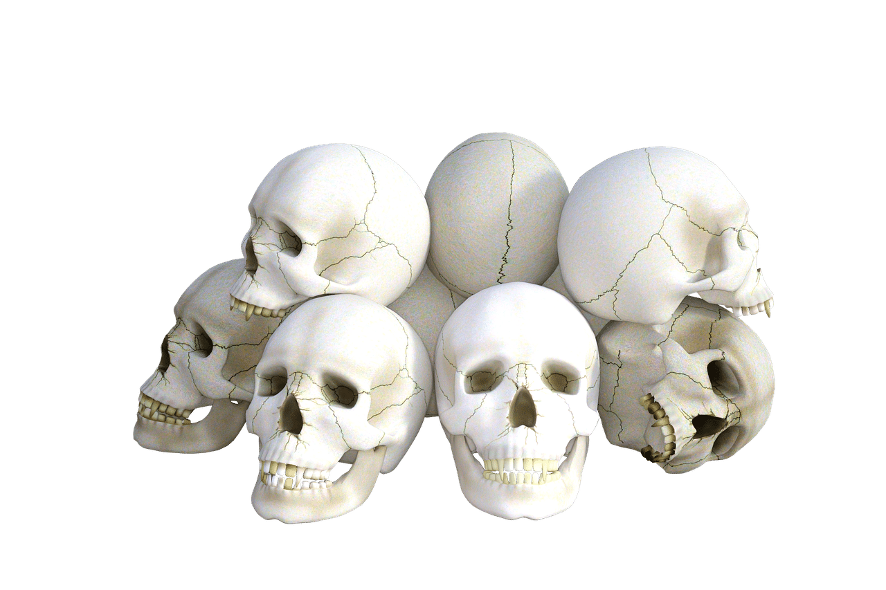 dream meaning Deaths head