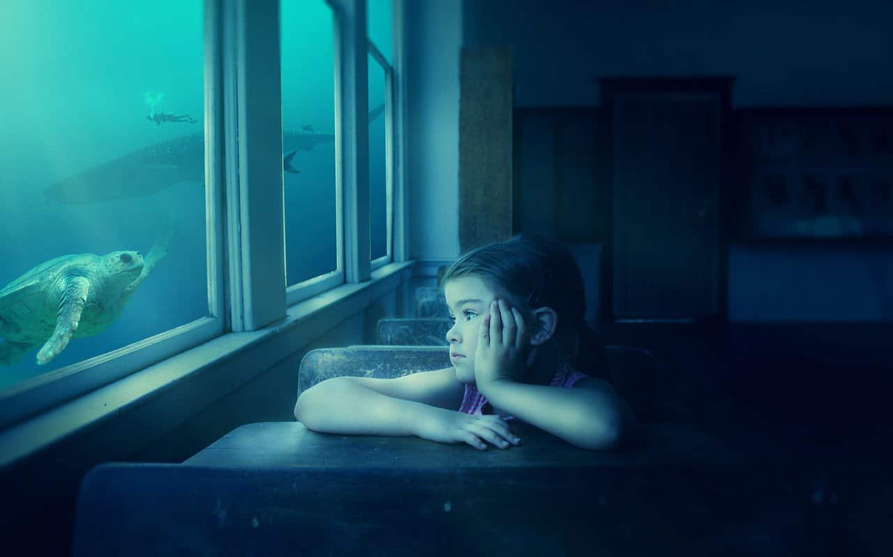 dream meaning Diver