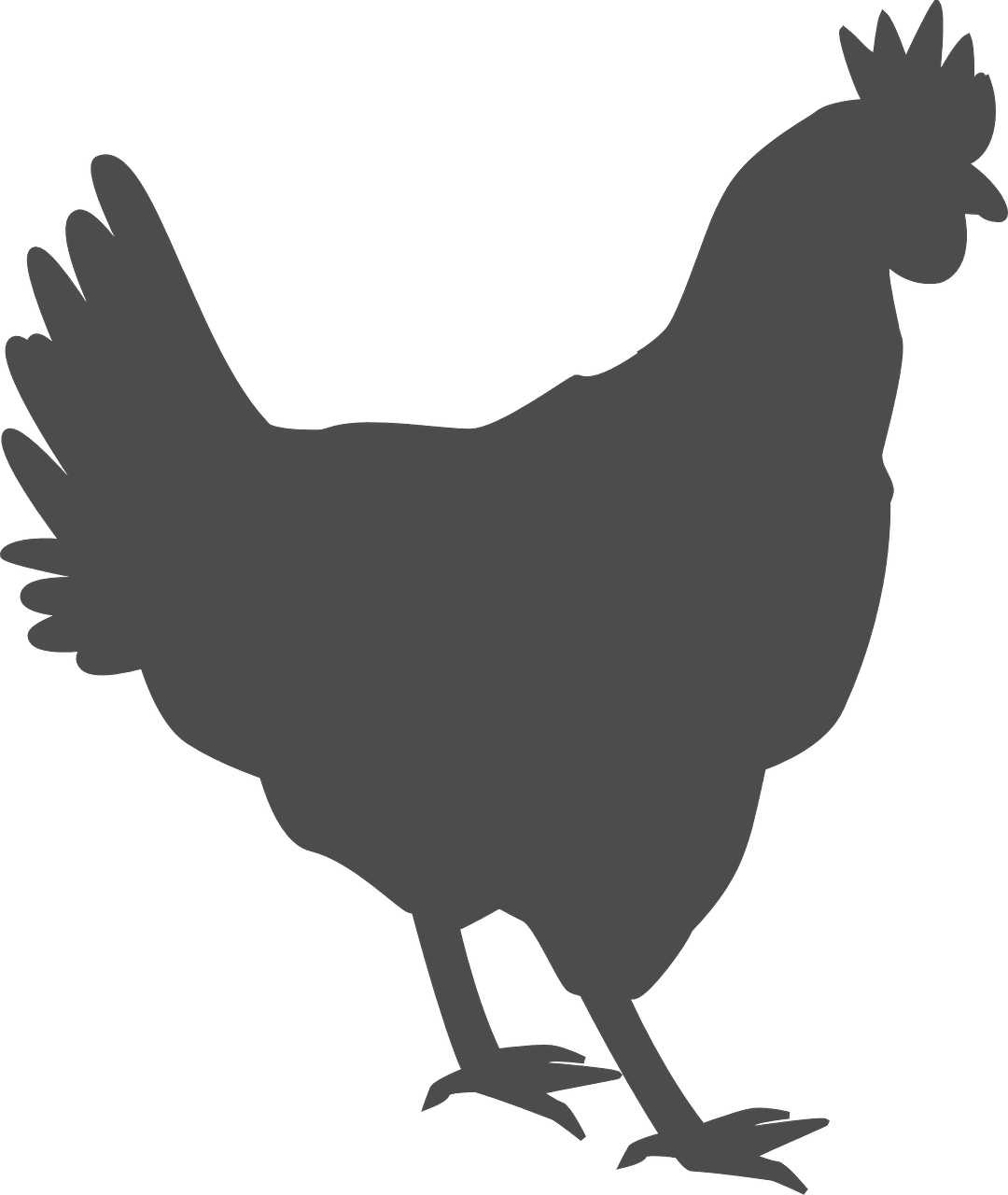 dream meaning Domestic fowl