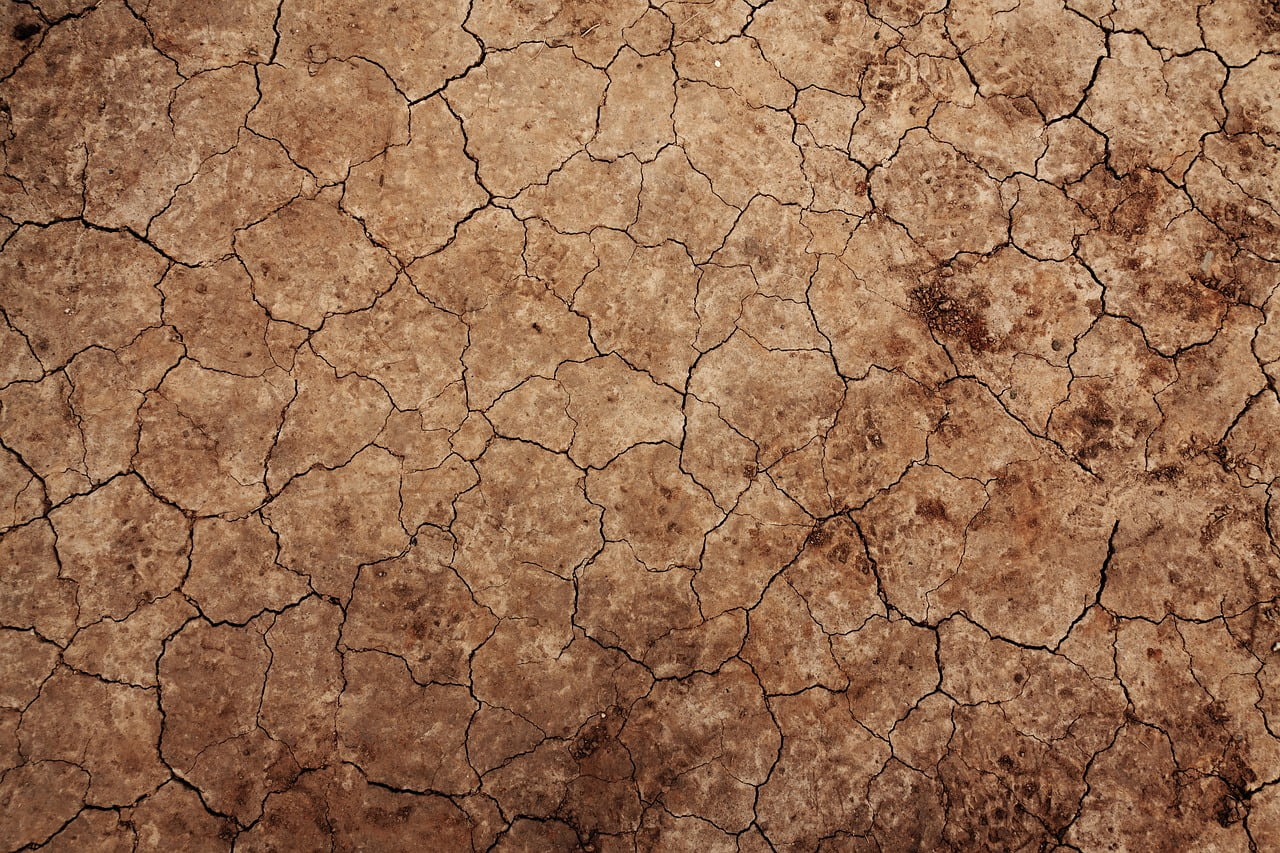 dream meaning Drought