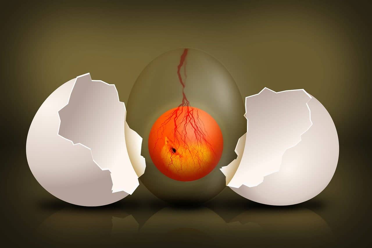 dream meaning Egg