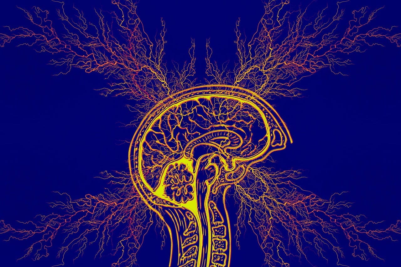 dream meaning Epilepsy