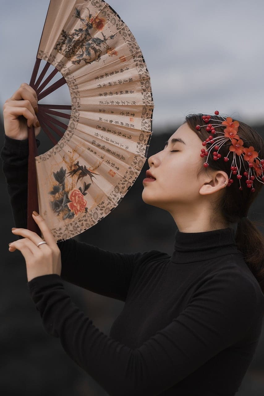 dream meaning Fan
