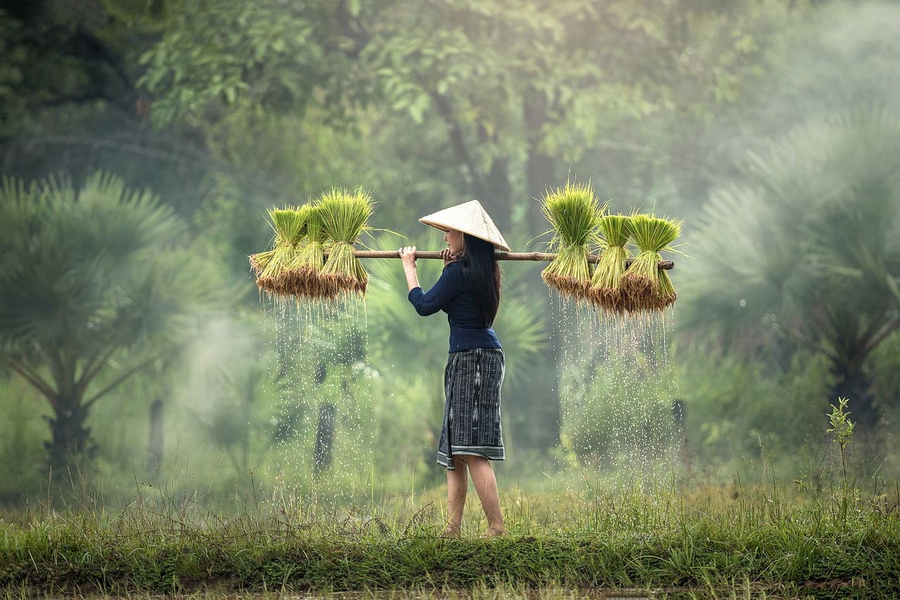 dream meaning Farmer