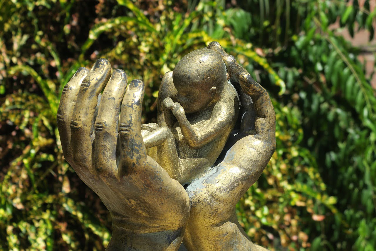 dream meaning Foetus