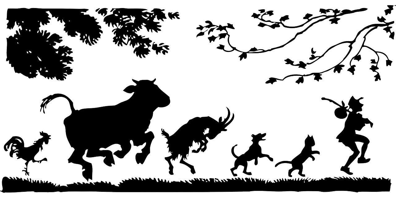 dream meaning Following
