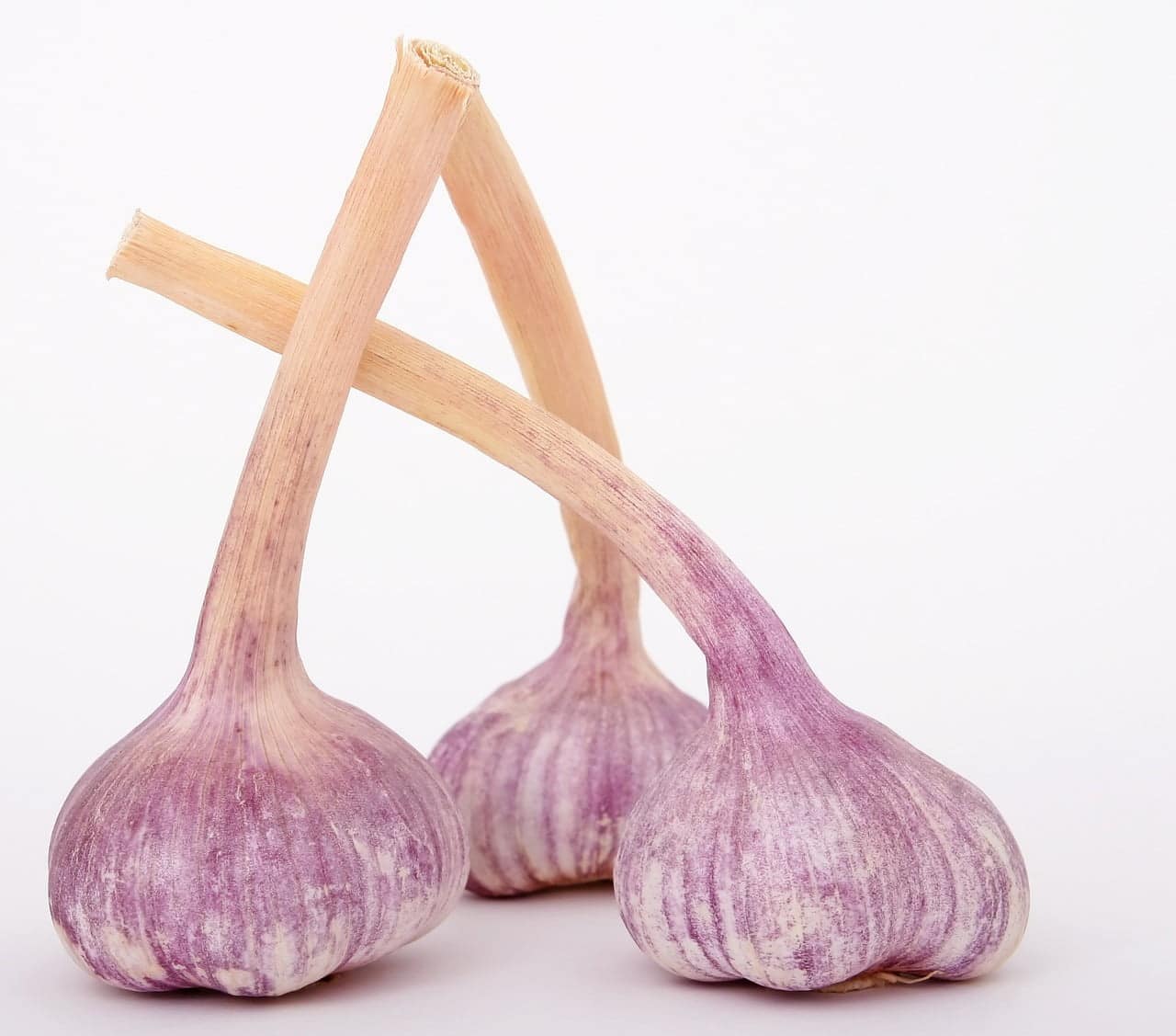 dream meaning Garlic