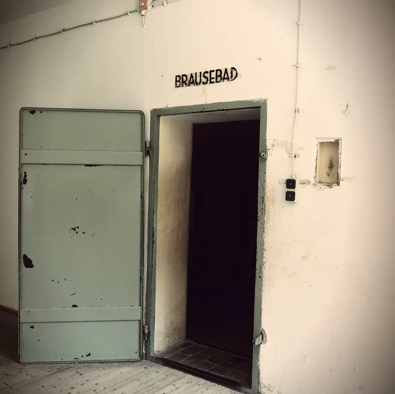 Gas Chamber Dream meaning Dream Dictionary