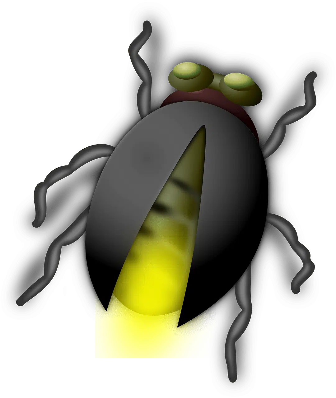dream meaning Glow-worm