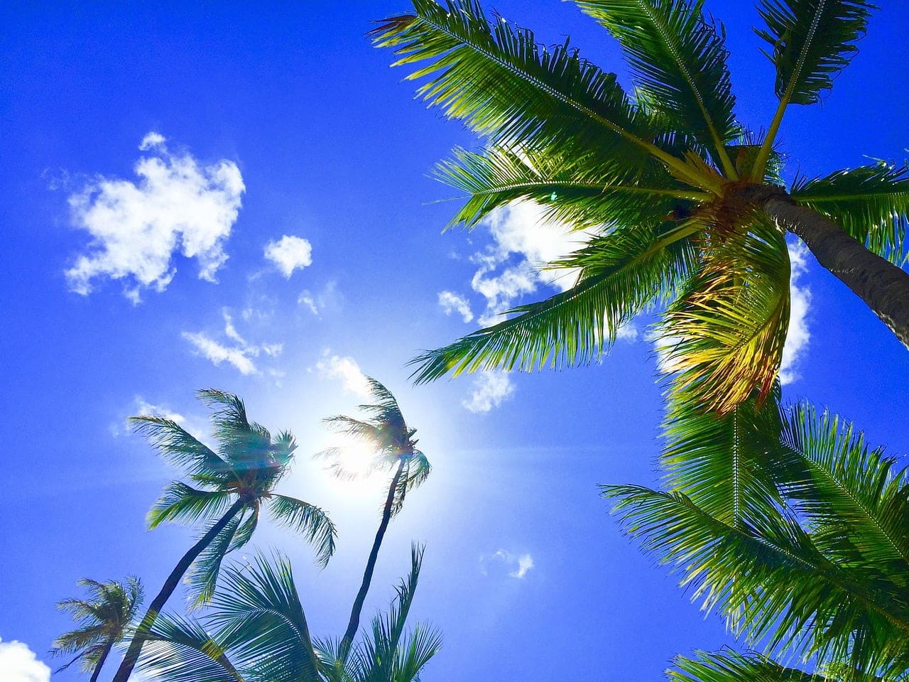dream meaning Hawaii