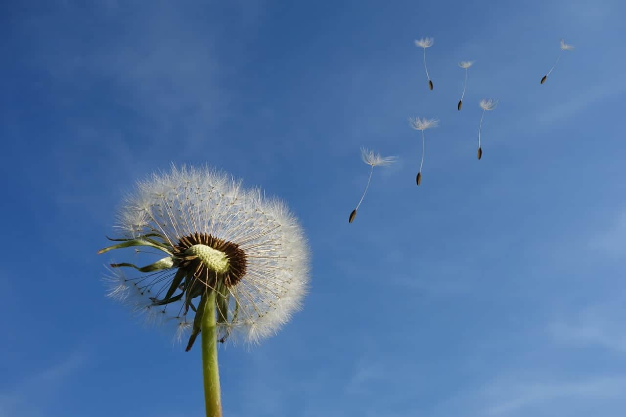dream meaning Heaven