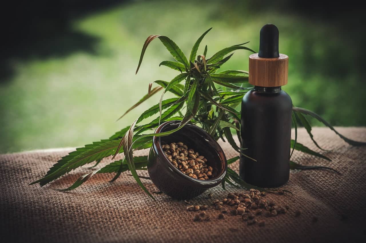 dream meaning Hemp Seed