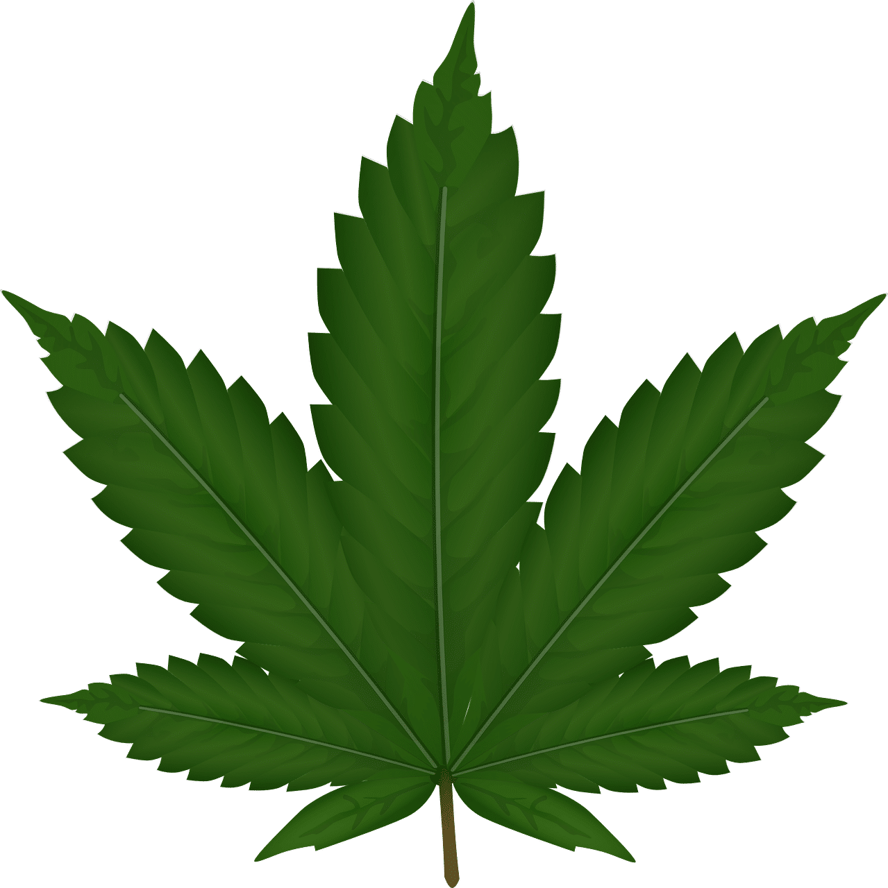 dream meaning Hemp